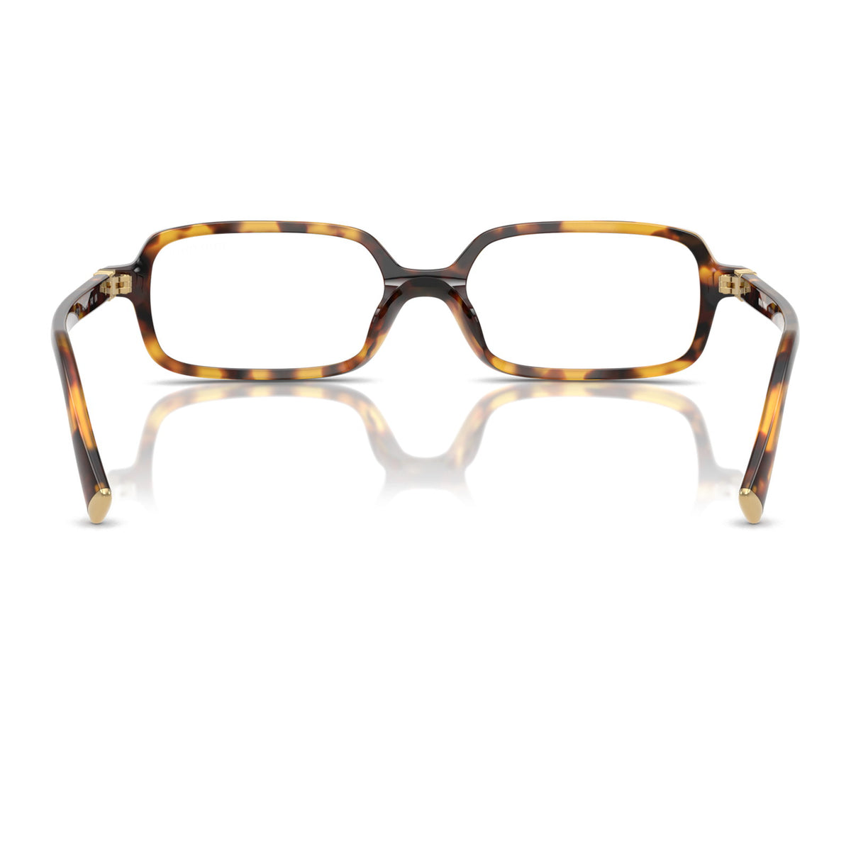 Miu Miu SMU11ZF Havana Honey/Clear Blue Light Filter #colour_havana-honey-clear-blue-light-filter