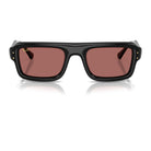 Ray-Ban RB4954 Black/Dark Violet #colour_black-dark-violet